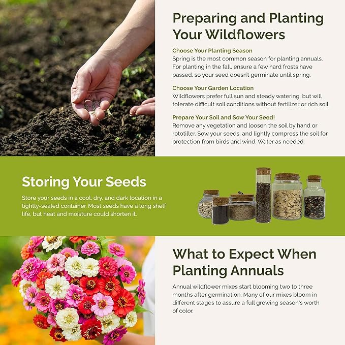 Eden Brothers Zin Master Flower Mixed Seeds for Planting, 5 lb, 2,400,000+ Seeds with California Giant, Mexican, Lilliput Zinnia | Attracts Pollinators, Plant in Spring, Zones 3, 4, 5, 6, 7, 8, 9, 10