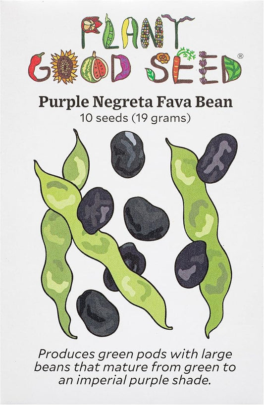 Plant Good Seed Organic Negreta Purple Fava Bean Seeds for Planting: Heirloom Vegetable, Large Dark Violet Beans - 10 Seed Packet