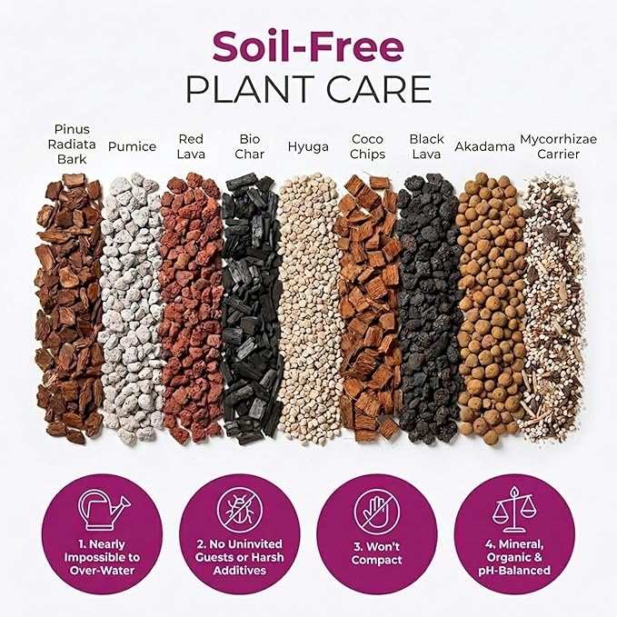 Molly's Orchid Potting Mix - Premium Gritty Soilless Orchid Mix - Chunky High Drainage vs Standard Potting Soil for Indoor Plants - Contains Bark, Coco Chips, Akadama, Pumice, Lava Rock 3 Dry Quarts