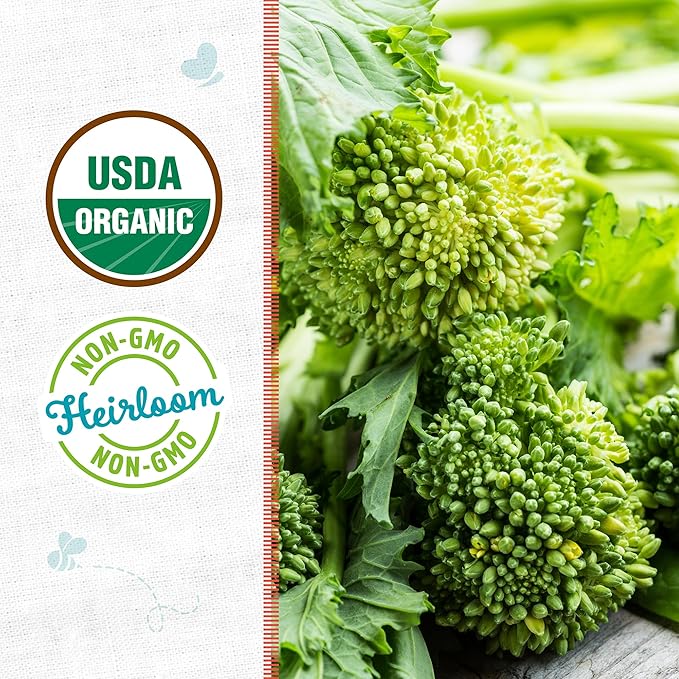Back to The Roots 100% Organic Seed Packet - Broccoli Raab 'Spring Rapini' 200mg