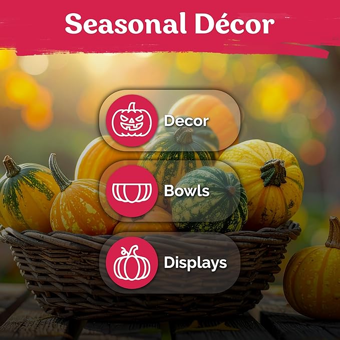 KVITER 50 Small Gourd Seeds Mix (Cucurbita Pepo) – Ornamental Fall Decor Gourds, Non GMO & Organic – Perfect Heirloom Seeds for Planting Decorative Gourds in Vegetable Garden