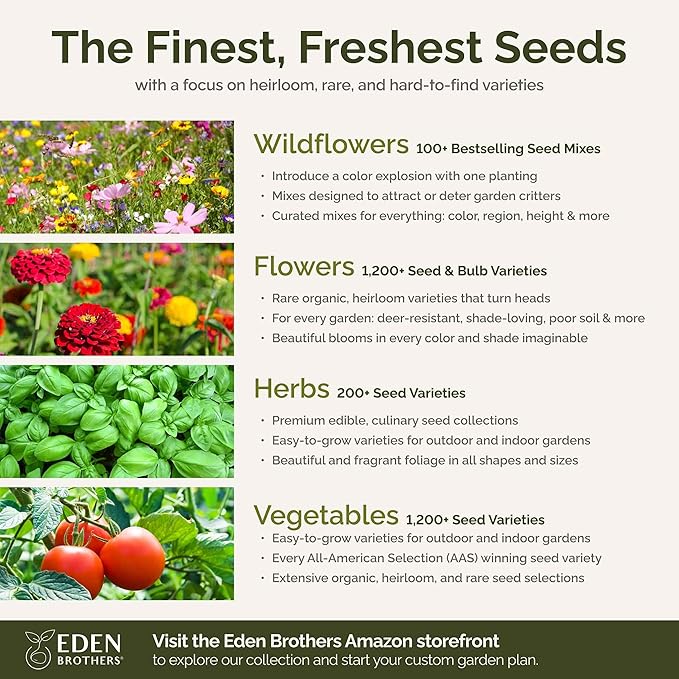 Eden Brothers Flowery Fields Forever Flower Mixed Seeds for Planting, 1/4 lb, 120,000+ Seeds with Cornflower, Candytuft | Attracts Pollinators, Plant in Spring or Fall, Zones 3, 4, 5, 6, 7, 8, 9, 10