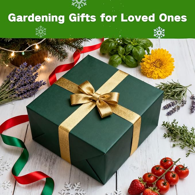 Lush&Dew Year-Round USDA Zone 4 Seed Bank, 32 Varieties Non-GMO Heirloom Seeds of Vegetables, Herbs, Gardening Gifts for Women Men, Emergency Survival Kit for Raised Garden Bed, Greenhouse