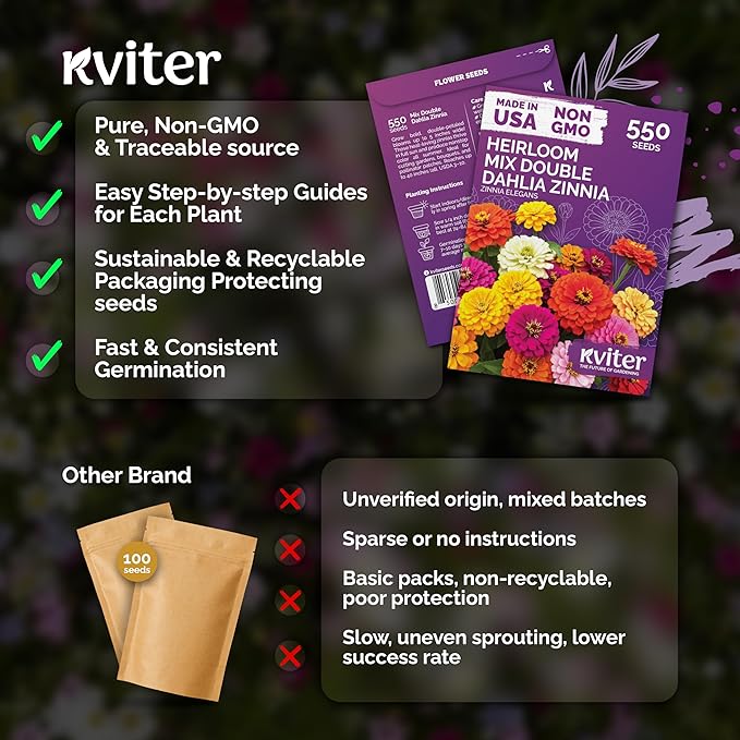 KVITER 550 Dahlia Zinnia Seeds for 2026 Mix (Zinnia Elegans) – Double Blooms, Non GMO, Heirloom & Organic – Flower seeds for Planting Outdoors in Garden, Containers, Flower Beds. Ideal for Cut Flowers