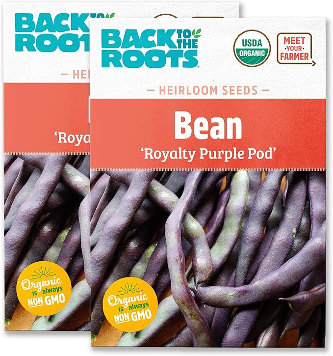 Back to the Roots 100% Organic Heirloom Seeds - Bean 'Royalty Purple Pod' Value Pack
