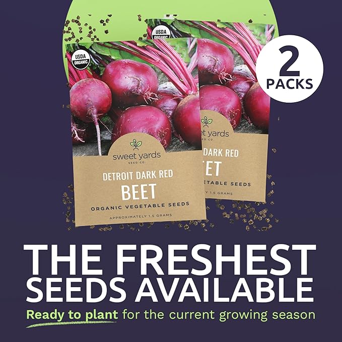 Organic Beet Seeds ‘Detroit Dark Red’ – Two Seed Packets! – Over 308 Heirloom USDA Organic Non-GMO Seeds – Sweet Yards Seed Co.