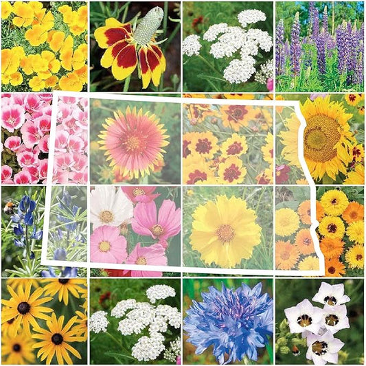 Eden Brothers North Dakota Wildflower Mixed Seeds for Planting, 1 oz, 30,000+ Seeds with Calendula, Sunflower | Attracts Pollinators, Plant in Spring or Fall, Zones