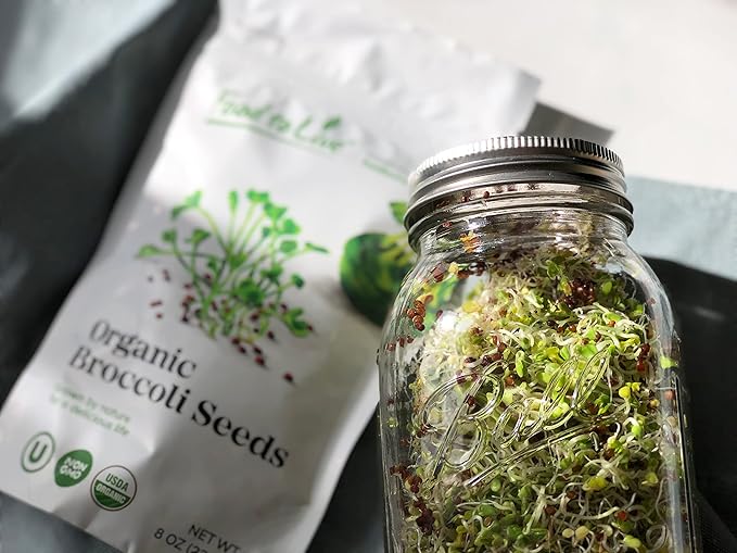 Food to Live Organic Broccoli Seeds for Sprouting, 12 Pounds – Non-GMO, Vegan, Kosher, Sirtfood, Bulk. Rich in Sulforaphane, Vitamin C. Grow Sprouts, Microgreens for Salads, and Sandwiches