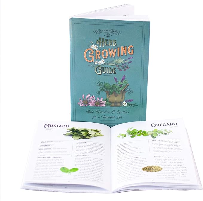 Culinary Herb Seeds Variety Pack – 10 Non-GMO Herb Seeds for Indoor & Outdoor Gardens – Includes Basil, Dill, Rosemary, Thyme & More with Planting Guide Book