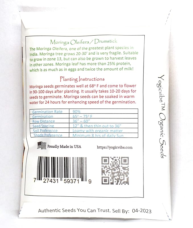 30 Organic Moringa Oleifera Drumstick Seeds Non-GMO for Sprouting, Planting, Cooking. Unprocessed Seeds with Wings. Grow Moringa - It Has More Than 25% Protein, Same As Eggs and 2X The Amount of Milk