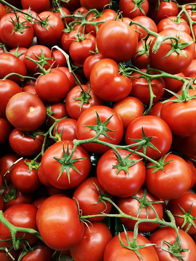 Park Seed Variety of Tomato Seeds, Planting Vegetables, Easy to Grow, Non-GMO, Perfect for Harvesting, Better Bush Improved Hybrid, Pack of 1000