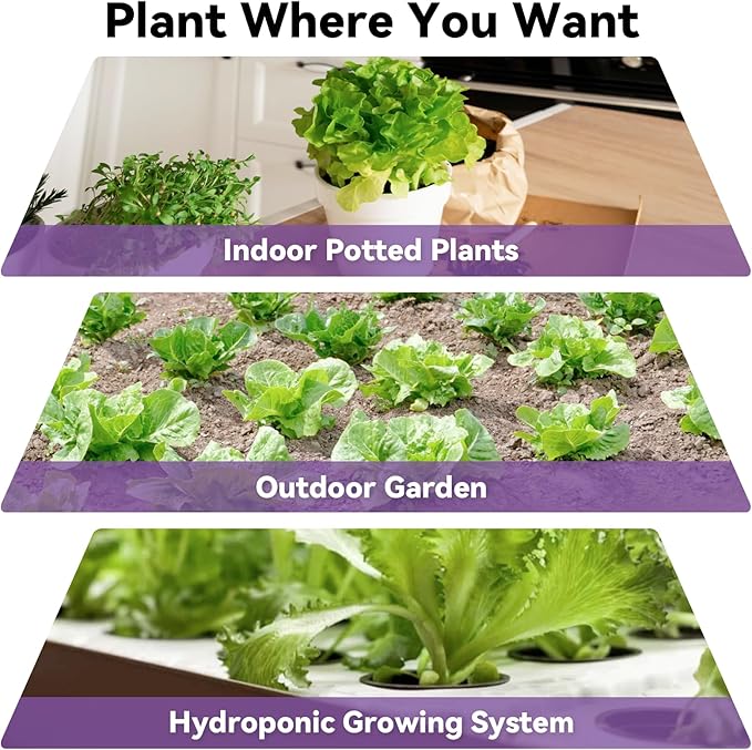 Red Romaine Lettuce Seed Pods for AeroGarden, Ahopegarden, iDOO Hydroponics Growing System Indoor, 400+ Seeds(12-Pods)