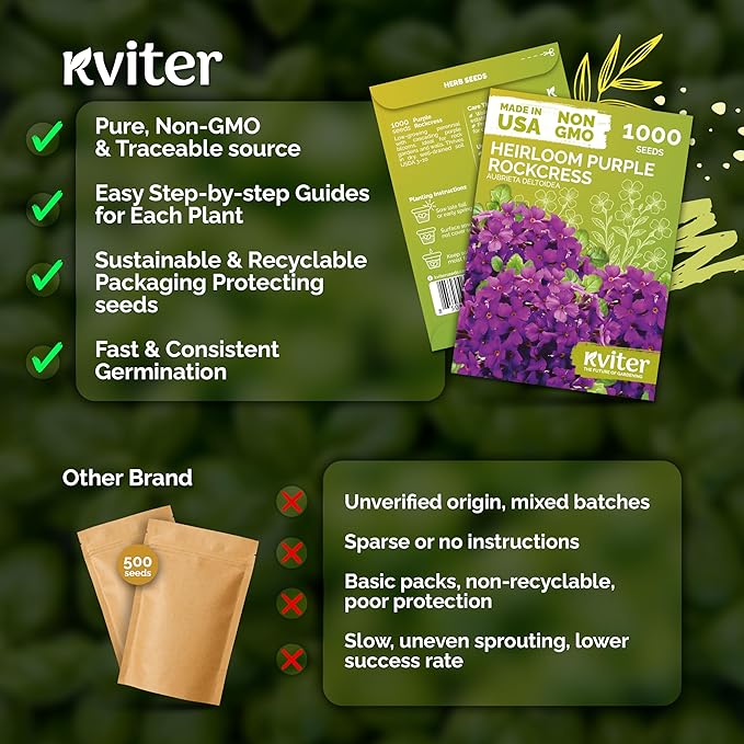 KVITER 1,000 Purple Rock Cress Seeds Perennial (Aubrieta deltoidea) - Aubrieta Seed, Lilacbush, Non-GMO & Organic Ground Cover Seed - Ideal Flower Seeds for Planting in Beds, Rock Garden & Walls