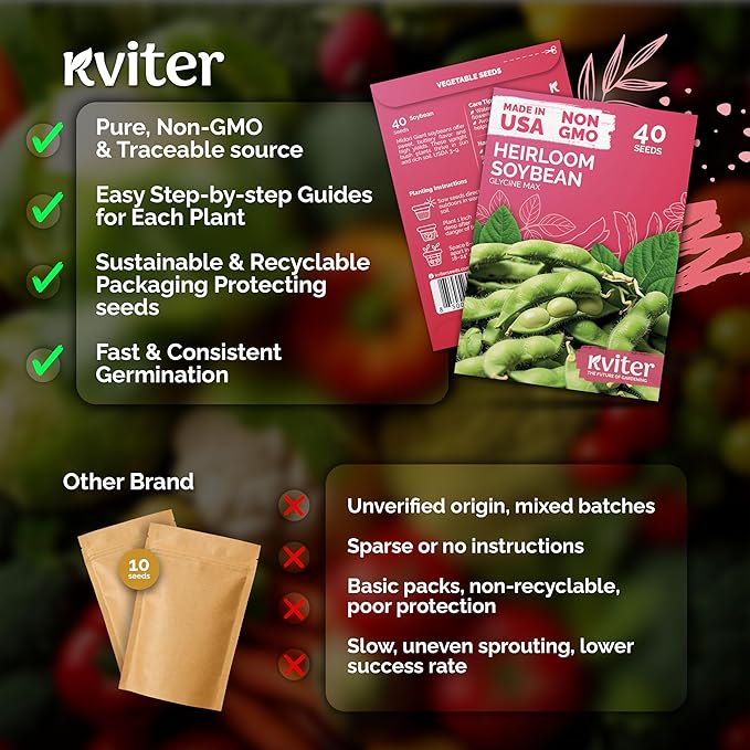 KVITER 40 Soy Bean Midori Giant Edamame Seeds (Glycine max) - Green Soybean, Soy Beans Organic Non GMO Variety, Sweet Nutty Flavor - Heirloom Vegetable Seeds for Planting Outdoors in Home Garden