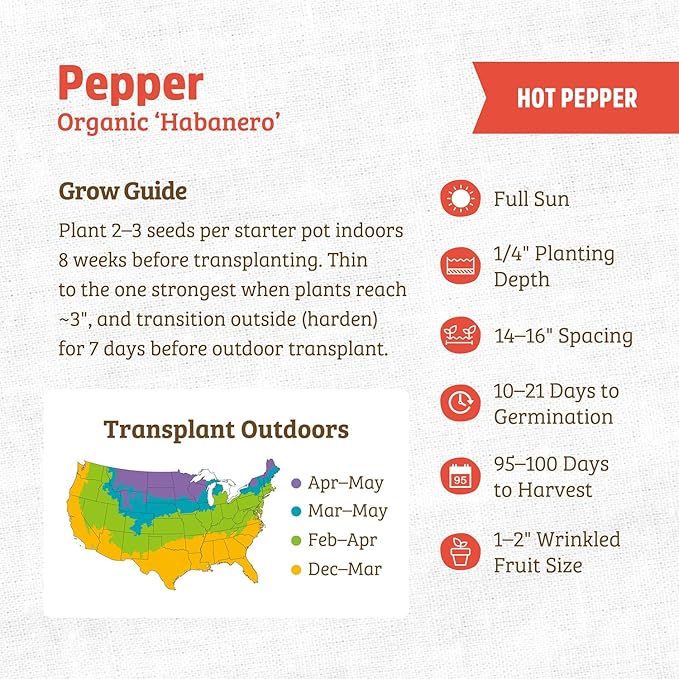 Back to The Roots 100% Organic Seed Packet - Pepper, 'Habanero' 140mg