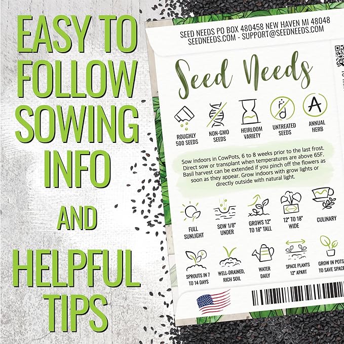 Seed Needs Sweet Basil & Italian Oregano Seeds for Planting Fresh Kitchen Herbs - Non-GMO Heirloom & Untreated Perennial & Annual Herb Seed to Plant a Culinary Garden Indoors or Outdoors (2 Pack Duo)