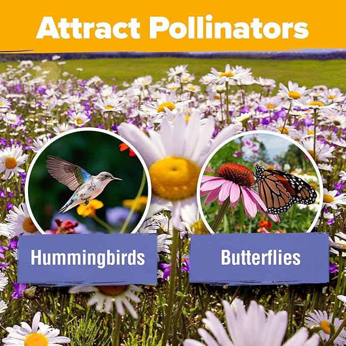 HOME GROWN Wildflower Seeds - 44,000 Non GMO USA Perennial Seeds (2oz) 19 Varieties for Butterfly & Pollinator Garden - Wild Flower Seed Mix for Full Sun & Shade
