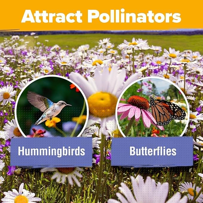 HOME GROWN Wildflower Seeds Mix - 47,400+ Non-GMO - 19 Perennial Flower Varieties for Planting Outdoors - Attract Butterflies & Birds - 3oz Wild Flower Seed Mix