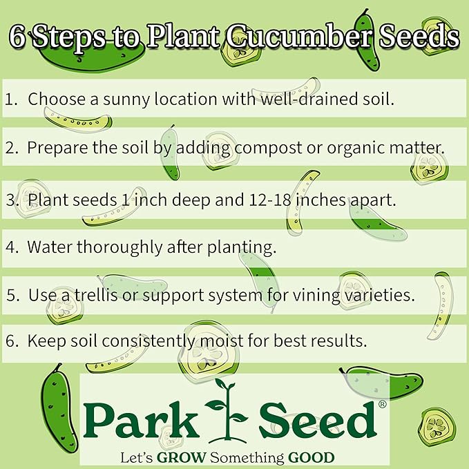 Park Seed Variety of Cucumber Seeds, Planting Cucumbers, Vegetable Seeds, Easy to Grow, Non-GMO, Perfect for Harvesting, Green Light F1, Pack of 20