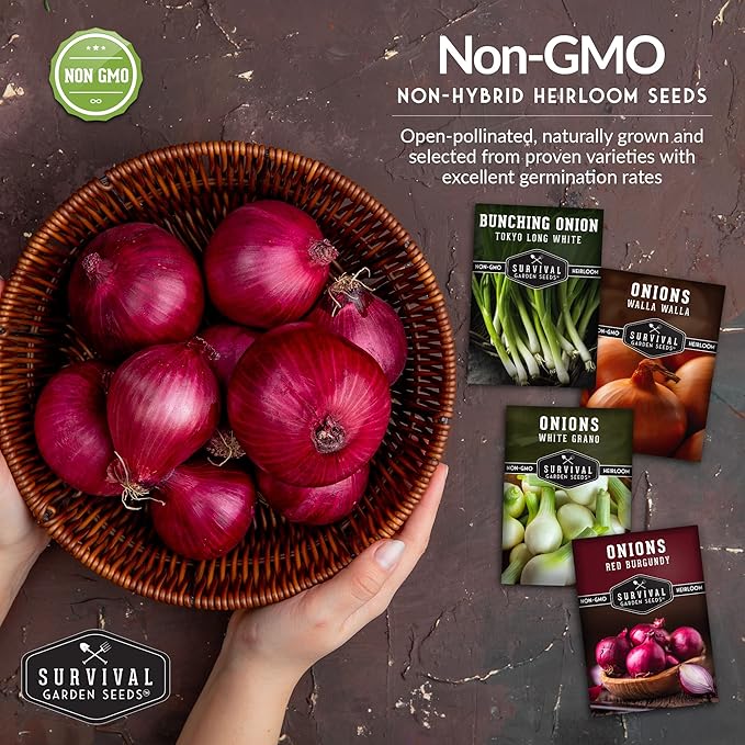 Onion Seeds 4 Variety Collection – Bunching, Red Burgundy, White Grano & Walla Walla Sweet Onions for Planting a Home Garden – Heirloom, Non-GMO Seed Packs – Survival Garden Seeds