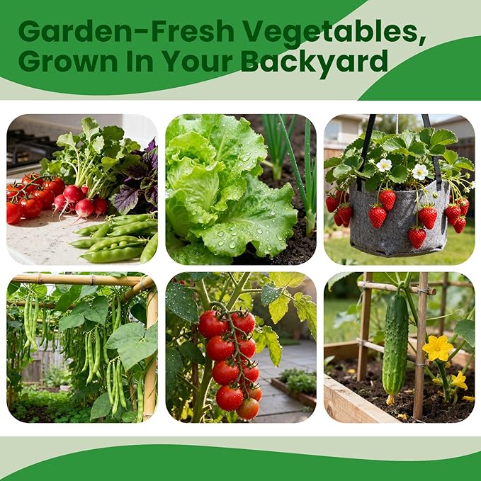 45 Vegetable Seeds Variety Pack - 17,000+ Non-GMO Heirloom for Planting Indoor & Outdoor Garden - Seed Vault Kit with Tomato, Cabbage, Spinach, Cucumber, Lettuce - Friend Gift