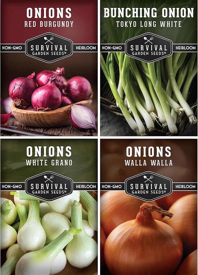 Onion Seeds 4 Variety Collection – Bunching, Red Burgundy, White Grano & Walla Walla Sweet Onions for Planting a Home Garden – Heirloom, Non-GMO Seed Packs – Survival Garden Seeds