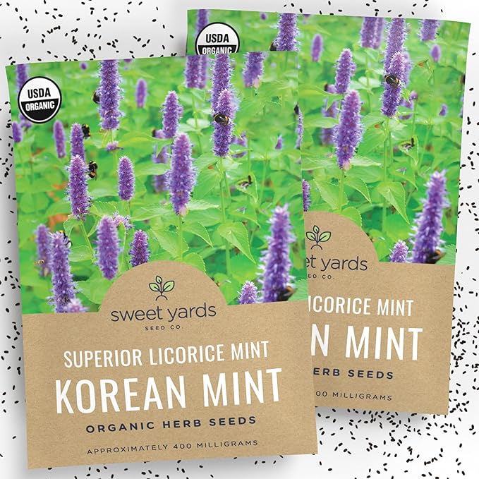 Organic Korean Mint ‘Superior Licorice’ – Agastache Rugosa Seeds – Two Seed Packets! Over 2,000 Open Pollinated Non-GMO Seeds – Sweet Yards Seed Co.