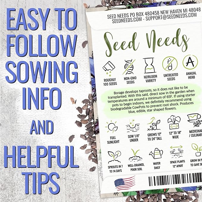 Seed Needs Borage Seeds for Planting Blue and White Star Flowers - Non-GMO Heirloom & Untreated Garden Seed to Plant an Indoor/Outdoor Garden - Attracts Pollinators (Collection of 2 Packets)