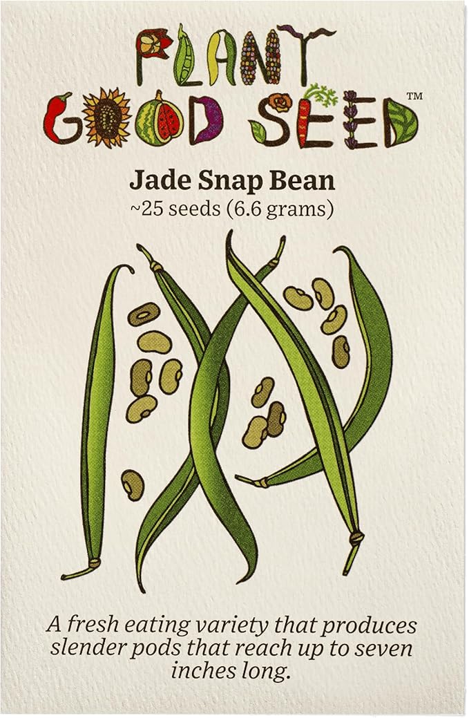 Plant Good Seed Organic Jade Bush Bean Seeds for Planting: Heirloom Vegetable, Green Pods - 25 Seed Packet