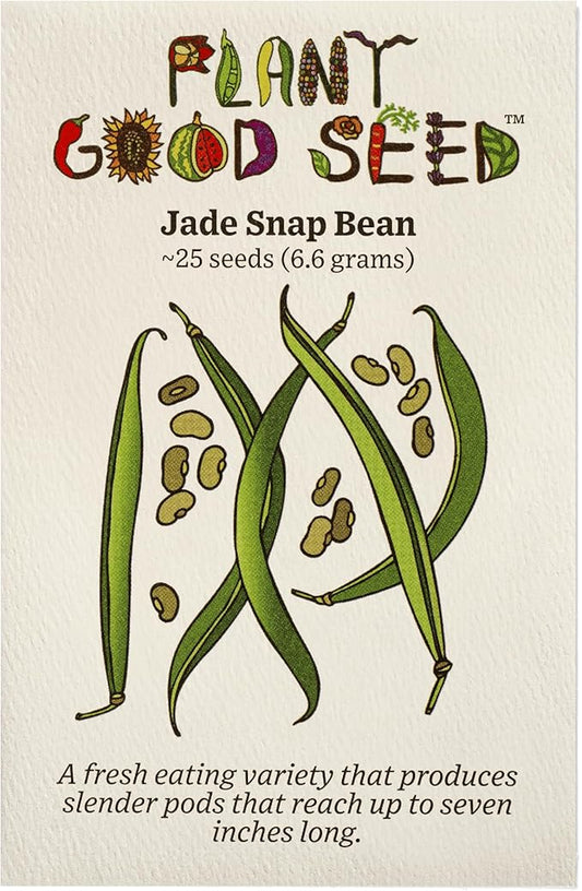 Plant Good Seed Organic Jade Bush Bean Seeds for Planting: Heirloom Vegetable, Green Pods - 25 Seed Packet