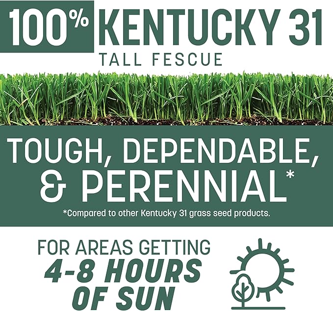 Pennington Kentucky 31 Tall Fescue Grass Seed 20 lb