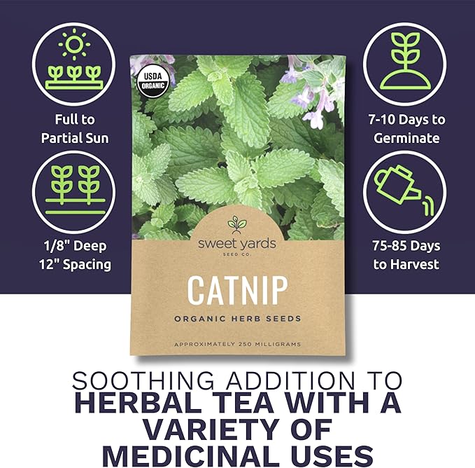 Catnip Seeds – Two Seed Packets! – Over 880 Open Pollinated Non-GMO Seeds – Sweet Yards Seed Co.