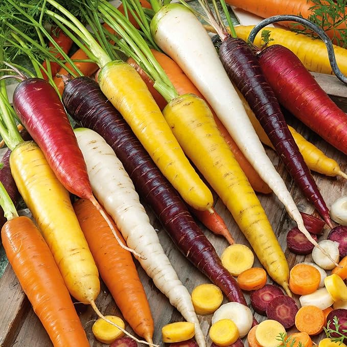 Eden Brothers Carrot Seeds (Organic) - Rainbow Blend Non-GMO Seeds for Planting, 1 Ounce | Low-Maintenance Vegetable Seeds, Plant During Warm Season, Zones 2, 3, 4, 5, 6, 7, 8, 9, 10