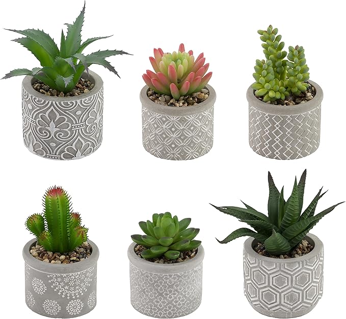 Boston International Decorative Faux Succulent Plants, Set of 6, Society of Succulents