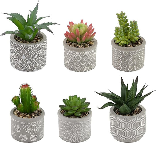 Boston International Decorative Faux Succulent Plants, Set of 6, Society of Succulents