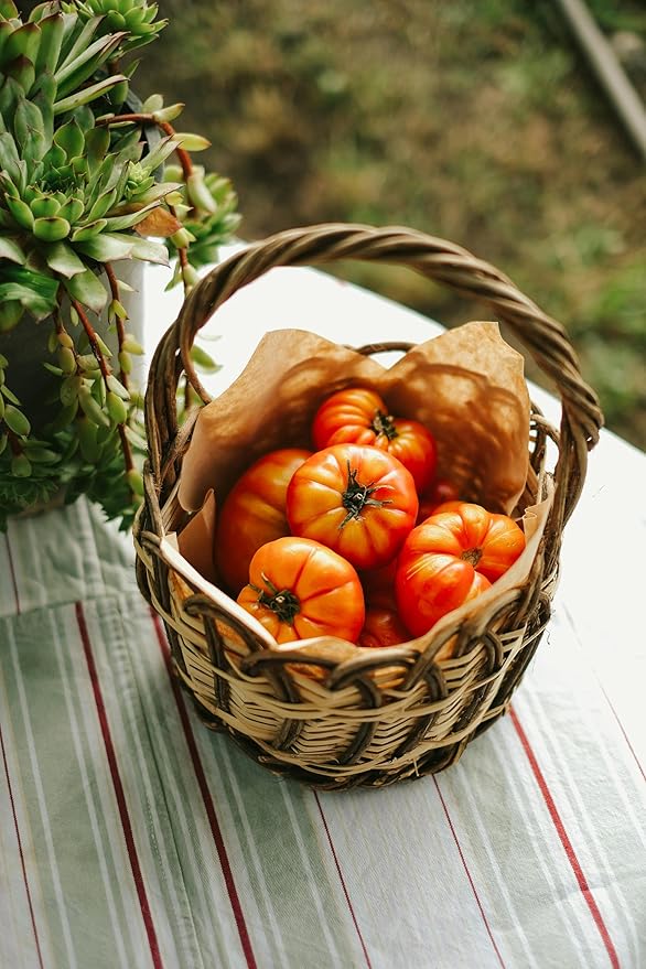 15 Pack Vegetable Garden Seeds - Deluxe Heirloom Variety Pack, Non-GMO, Perfect for Home Gardening and Planting