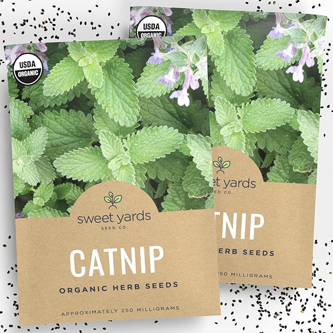 Catnip Seeds – Two Seed Packets! – Over 880 Open Pollinated Non-GMO Seeds – Sweet Yards Seed Co.