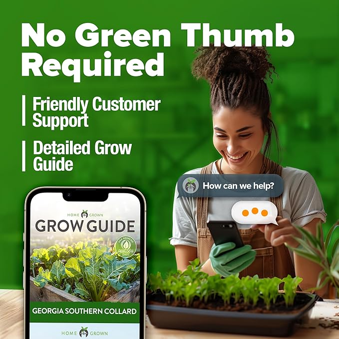 HOME GROWN Georgia Southern Collard Green Seeds 600+ Heirloom Non-GMO Seeds for Planting, High Germination, Heat Tolerant Leafy Green, Slow to Bolt, Nutritious Southern Classic (Brassica oleracea)