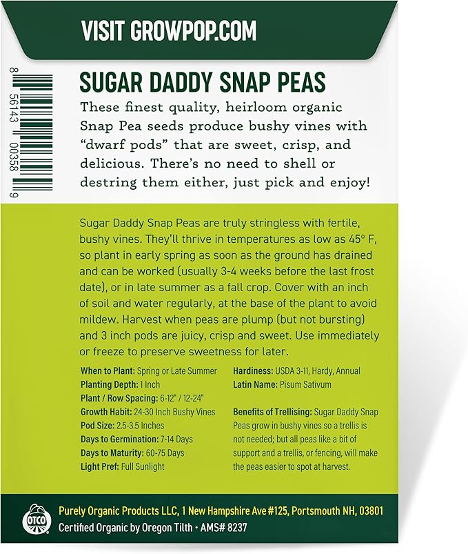 Organic Snap Pea Seeds (Sugar Daddy) - Approx 75 Seeds - USDA Organic, Non-GMO, Open Pollinated, Heirloom, USA Origin