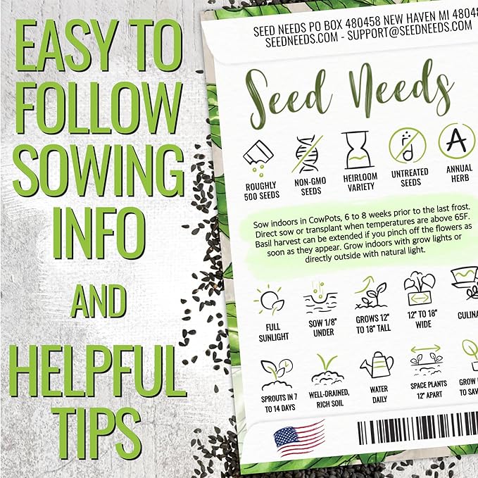 Seed Needs Rosemary Seeds & Basil Seeds for Planting Italian Herbs - Non-GMO Heirloom & Untreated Herb Seed to Plant an Indoor/Outdoor Culinary Medicinal Garden (Collection of 2 Packets)