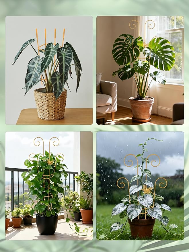 2 Pcs Tall Trellis for Potted Plants, 30'' Expandable Butterfly Shape Garden Trellis for Climbing Plants Indoor, Plant Pothos Climber Support for Monstera, Ivy, Hoya, Vine (Gold)