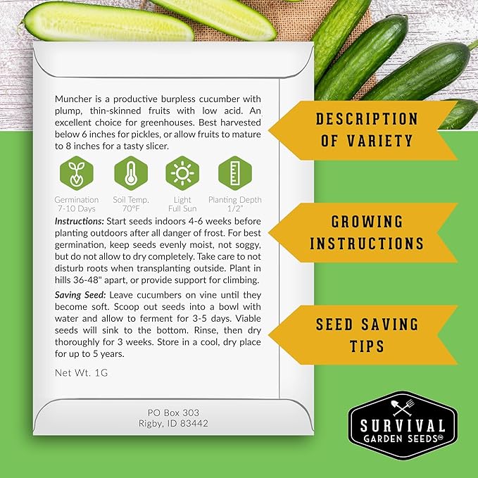 Muncher Cucumber Seeds for Planting | Burpless Variety with Smooth Skin for Snacking or Slicing – Survival Garden Seeds (3 Packs)