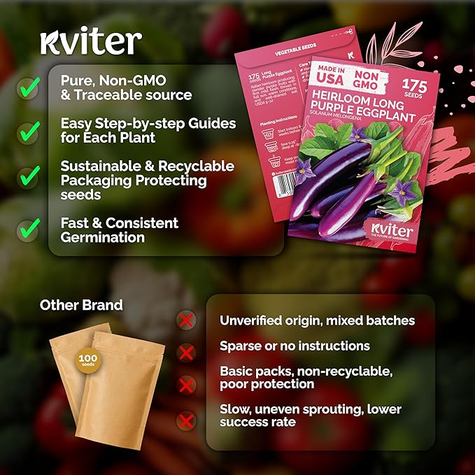 KVITER 175 Long Purple Eggplant Seeds (Solanum melongena) – Asian Eggplant, Dark Purple Italian Egg Plant Seed Packets – Heirloom Vegetable Seeds for Planting Outdoors & Indoor Garden, Containers Beds