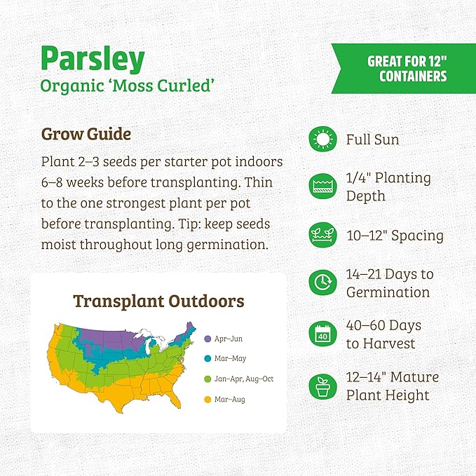 Back to The Roots 100% Organic Seed Packet - Parsley 'Moss Curled' 420mg