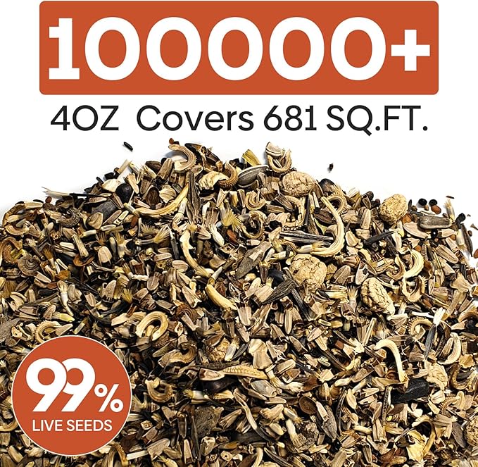Groundio All Perennial Wildflower Seeds Bulk, 1/4 lb, 100,000+ Seeds, 26 Variety Mix with Milkweek, California Blue Bell, Attracts Pollinators, Plant in Spring or Fall, Zones 3, 4, 5, 6, 7, 8, 9, 10
