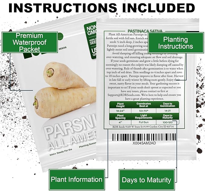 500+ Parsnip Seeds for Planting - All American - Heirloom Non-GMO USA Grown by RDR Seeds