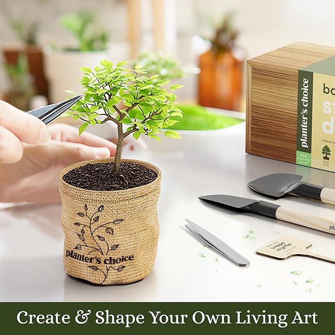 Planter's Choice Bonsai Tree Starter Kit - Unique Gifts for Women, Men - Birthday Gifts for Adults - Indoor Live House Plants - DIY for Adults Craft Kits - Hobby Gift Gardening Lovers