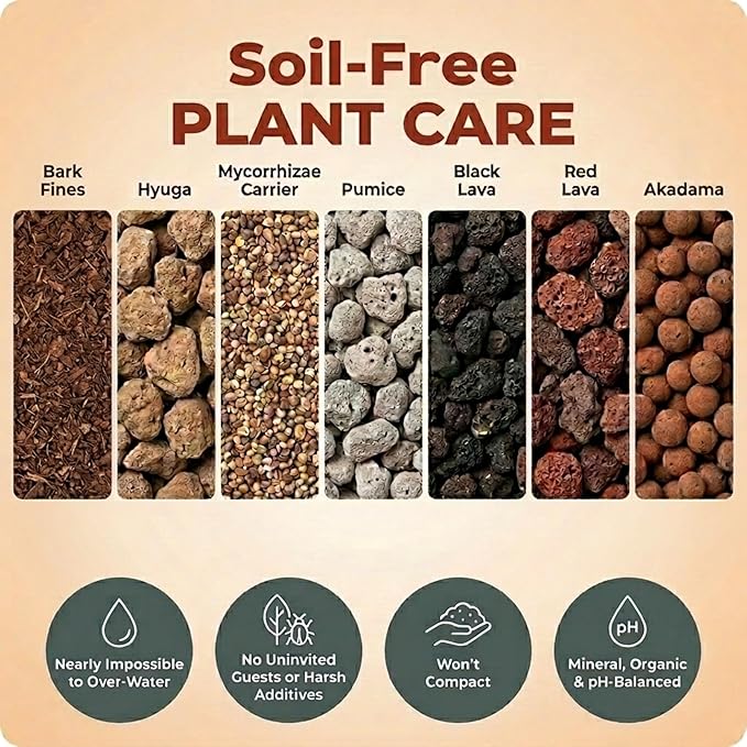 Molly's Succulent Mix - Premium Gritty Soilless Potting Mix for Succulents, Cactus and Bonsai - Contains Akadama, Hyuga, Bark Fines, Pumice, Lava Rock, Mycorrhizae 3 Dry Quarts