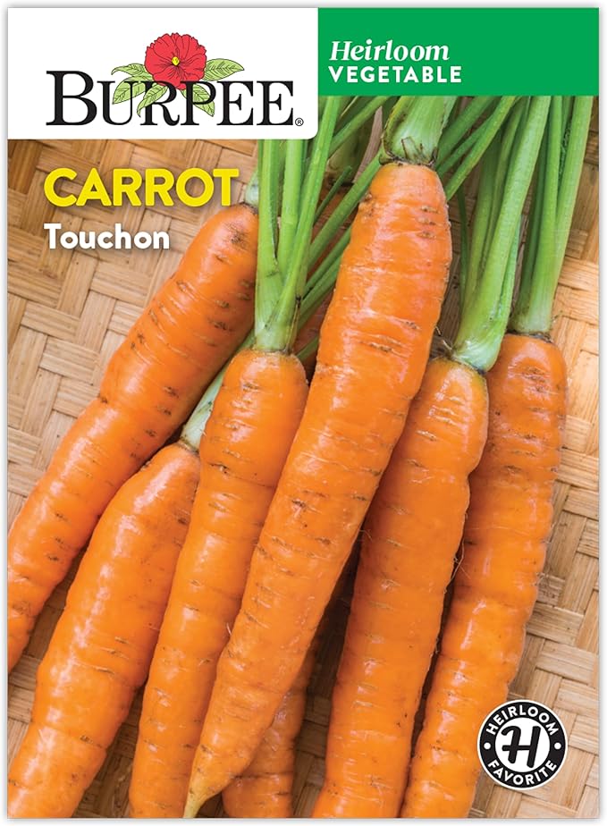 Burpee Heirloom Touchon Carrot Seeds - Sweet, Coreless, French Variety
