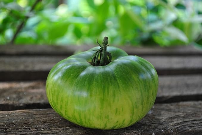 30+ Seeds Zebra Tomato - Vegetable Green